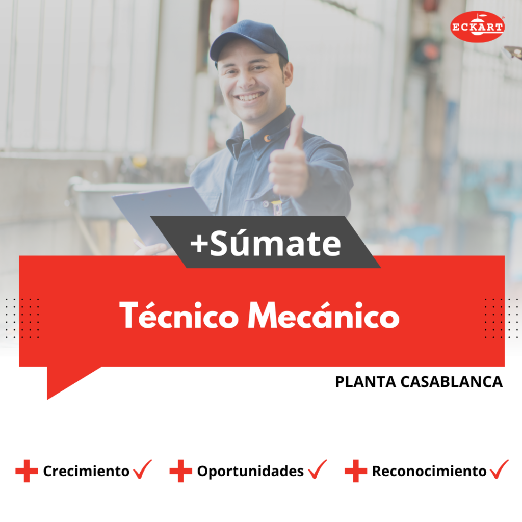 tecnico mecanico