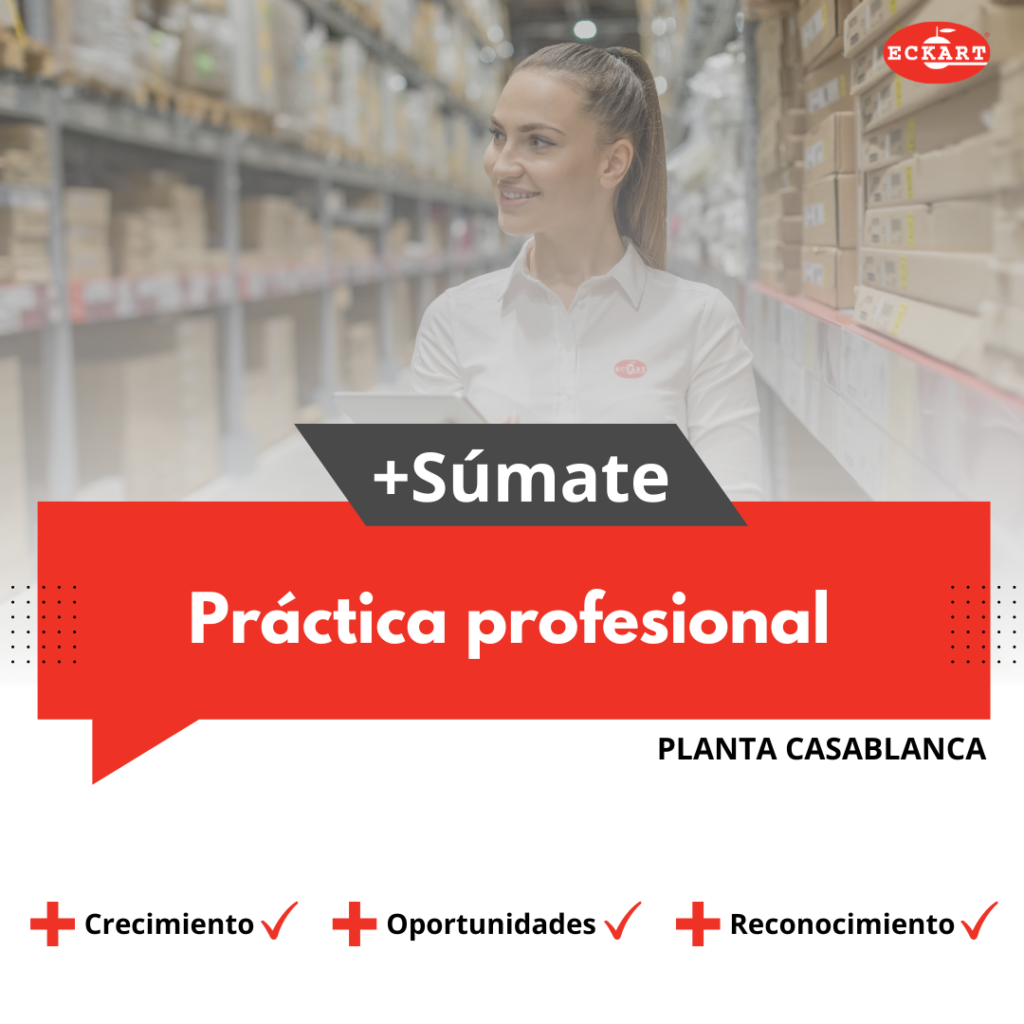 practica profesional